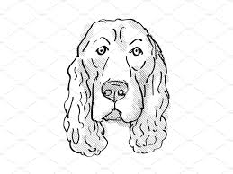 Black And White Spaniel Cartoon Field Spaniel Dog Breed Cartoon Spaniel Dog Dog Breeds Field Spaniel