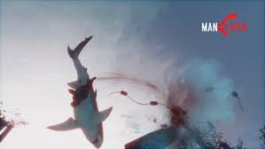 Explore how google data can be used to tell stories. Sharks And Blood How Tripwire Interactive Developed Maneater
