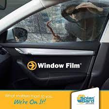 we create sustainable solutions that improve your daily life through comfort and protection contact us 971 4 451 8900 https w automotive film window film