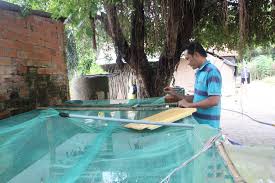 Cô gái đến từ hư vô 1. Trai Lang Tá»‰nh Tay Ninh Ra Ruá»™ng Vo Tinh Nháº·t Ä'Æ°á»£c 20 á»• Trá»©ng Con Trung Láº¡ Ai Ngá» Nen CÆ¡ Nghiá»‡p Lá»›n