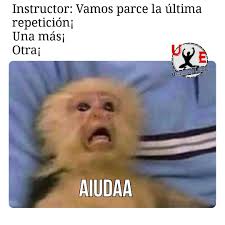 Pin En Gym Memes