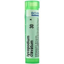 Image result for Lycopodium clavatum