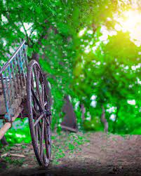 Hd wallpapers, cool desktop images, background photos. 500 Top New Cb Background Zip File 2019 Background For Photography Blur Photo Background Light Background Images