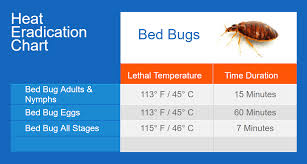 To Kill Bed Bugs Low Temperature To Kill Bed Bugs