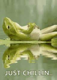 Just Chilling Gifs Tenor