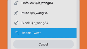 Being blocked is sort of like being put in a digital penalty box — twitter makes it impossible to view content from that person, or communicate with. How To Report Abusive Behavior On Twitter Twitter Help