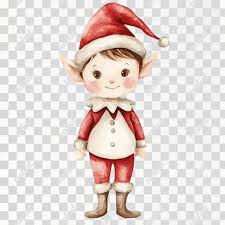 Image result for Peponium vogelii