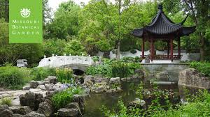 See reviews, photos, directions, phone numbers and more for the best chinese restaurants in florissant, mo. Mo Botanical Garden On Twitter Host Your Next Virtual Meeting Or Happy Hour At The Garden With These Custom Zoom Backgrounds