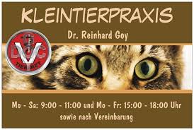 pin von docgoy ug haftungsbeschrankt auf hund katze heimtier kleintier hund und katze heimtiere kleine tiere