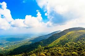 Understanding the most common image file format. Nature 1 15 Large Jpg Picture Of Tadiandamol Peak Coorg Tripadvisor