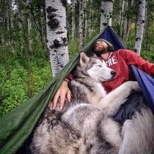 Pin On Furry Friends