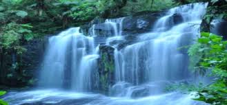 Image result for images jesus living water