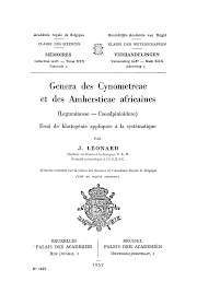 Image result for Englerodendron mengei