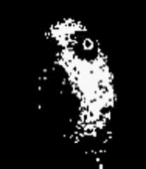 Mirrors meme (alpha flowey) (fixed face) by 1catheall; Omega Flowey Gifs Tenor