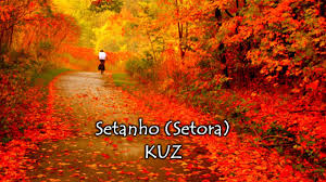 Manchester city vs chelsea : Setora Kuz Karaoke Youtube