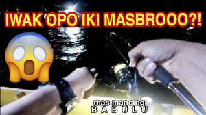 Trip pelantar jernih tekong pak abu besut vlog12. Pelantar Minyak In English Ifrun Original ä¸Šä¸‹2ç‚¹ã‚»ãƒƒãƒˆã‚¢ãƒƒãƒ— ä¸¡èƒ¸ãƒã‚±ãƒƒãƒˆãƒ–ãƒ«ã‚¾ãƒ³ ã‚·ã‚§ãƒ•ãƒ'ãƒ³ãƒ„