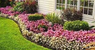 Family owned, tomlinson bomberger lives by its core values to exceed client and coworker expectations making it one of the most desirable companies to work for in. Lawn Care Landscaping Pest Control Blog Tomlinson Bomberger