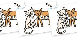 Be sure to change her water frequently and make sure that she is drinking. Free Days Of The Week On Cats Teacher Made