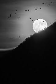 i don t think there could be something more amazing then life and nature good night moon beautiful moon photo