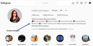 What are some matching lyrics too put in bio`s for couples? How To Create A Great Instagram Bio Writer Nation