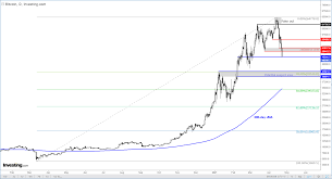 Według części komentatorów cena bitcoina pobiła tym samym historyczny rekord z listopada 2013 r. Wykres Dnia Dokad Zmierza Bitcoin Investing Com