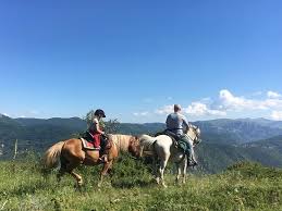 Maybe you would like to learn more about one of these? Very Nice Time Review Of Sherpa Horse Riding Galicnik Republic Of North Macedonia Tripadvisor