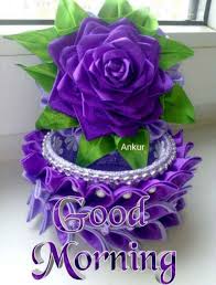 Good Morning With Purple Flower Desicomments Com Download hd good morning photos for free on unsplash. good morning with purple flower
