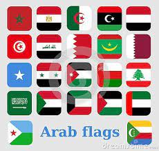pin by khaleesi on arab country in 2021 flag country flag morocco