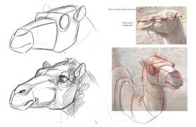 Drawings Of Camels Concept Design Academy Animal Anatomy With Jonathan Kuo Animal Sketches Animal Drawings Camels Art