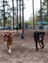 Check spelling or type a new query. Bark At The Park To Offer Free Rabies Shots Pet Licenses