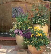 See more ideas about flowers that attract hummingbirds, humming bird feeders, how to attract hummingbirds. Havens For Butterflies And Hummingbirds Plants Garden Containers Hummingbird Garden
