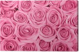 Tableau de caractéristiques du produit. Tableaux Sur Toile Rose Poudre Pixers Nous Vivons Pour Changer