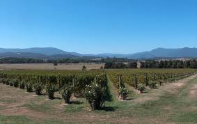 The Wines Of Domaine Chandon Yarra Valley Australia