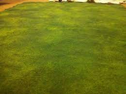 Terrain mat for miniature wargames.the perfect gaming mat to make better your wargaming tabletop.ideal for all kind of pitched battles, it represents a grassy ground characterized by meadows. Diy Wargame Caulk Battlemat The History Network