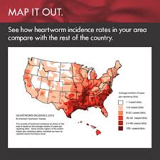 Incidence Maps American Heartworm Society