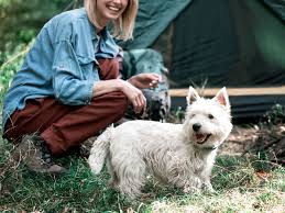 Can you camp at starved rock. Starved Rock State Park Wag