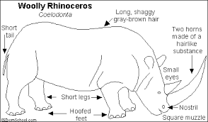 In case you don\'t find what you are looking for, use the top search bar to search again! Woolly Rhinoceros Printout Enchantedlearning Com