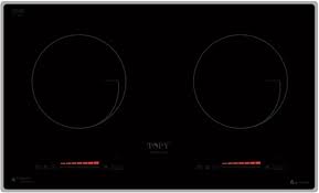 Bếp từ Topy TP-1383s