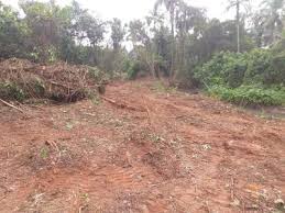You have been blocked from using pin.tt. Agriculture Land For Sale In Goa Farm Land For Sale In Goa