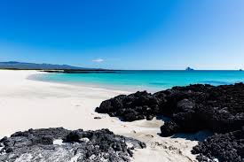 Image result for GALAPAGOS ISLANDS, ECUADOR