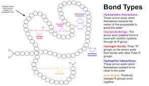 Protein Tertiary Structure Wikipedia