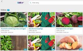 We did not find results for: Helios Terra