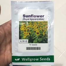 Uniknya lagi, bunga ini tidak memiliki sifat negatif yang melekat padanya. Benih Bunga Matahari Sunflower Royal Hybrid 1121 Cap Wellgrow 10 Biji Shopee Malaysia