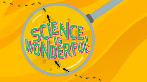 نتیجه جستجوی لغت [science] در گوگل