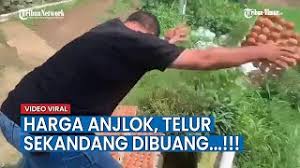 Bahan tersebut kemudian direbus dan disimpan dalam kulkas setelah dingin. Viral Harga Anjlok Telur Sekandang Dibuang Sungguh Sayang Youtube