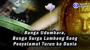 Hal tersebutlah yang dapat menunjukkan jika roh orang meninggal bisa saja dipertemukan dengan mereka yang masih hidup di dalam mimpi hal tersebut diyakini sebagai tanda roh orang meninggal sedang berada di dekat anda, mereka ingin menghibur atau melihat keberadaan orang terdekatnya. Roh Manusia Ke Alam Barzah Setelah Meninggal Dunia Kupas Tuntas Proses Dari Kematian Hingga Reinkarnasi Dalam Budaya Tionghoa Erabaru