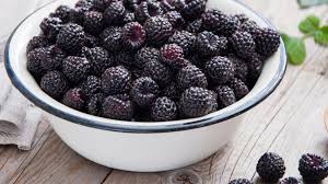 In vitro establishment and maintenance of cultures aseptic culture of č ačanska bestrna blackberry was established on ms. Black Raspberry Vs Blackberry What S The Difference
