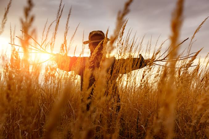 The Myth and History of Scarecrows - Grit