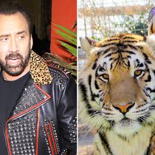 The drip never takes a backseat. Nicolas Cage To Play Joe Exotic In Tiger King Miniseries Television Radio The Guardian