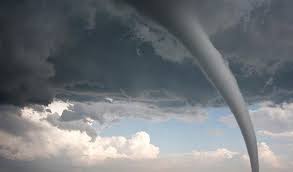 Filde ve bazı böceklerde boru biçiminde uzamış ağız veya burun bölümü. Hortum Nedir Nasil Olusur En Cok Nerelerde Gorulur